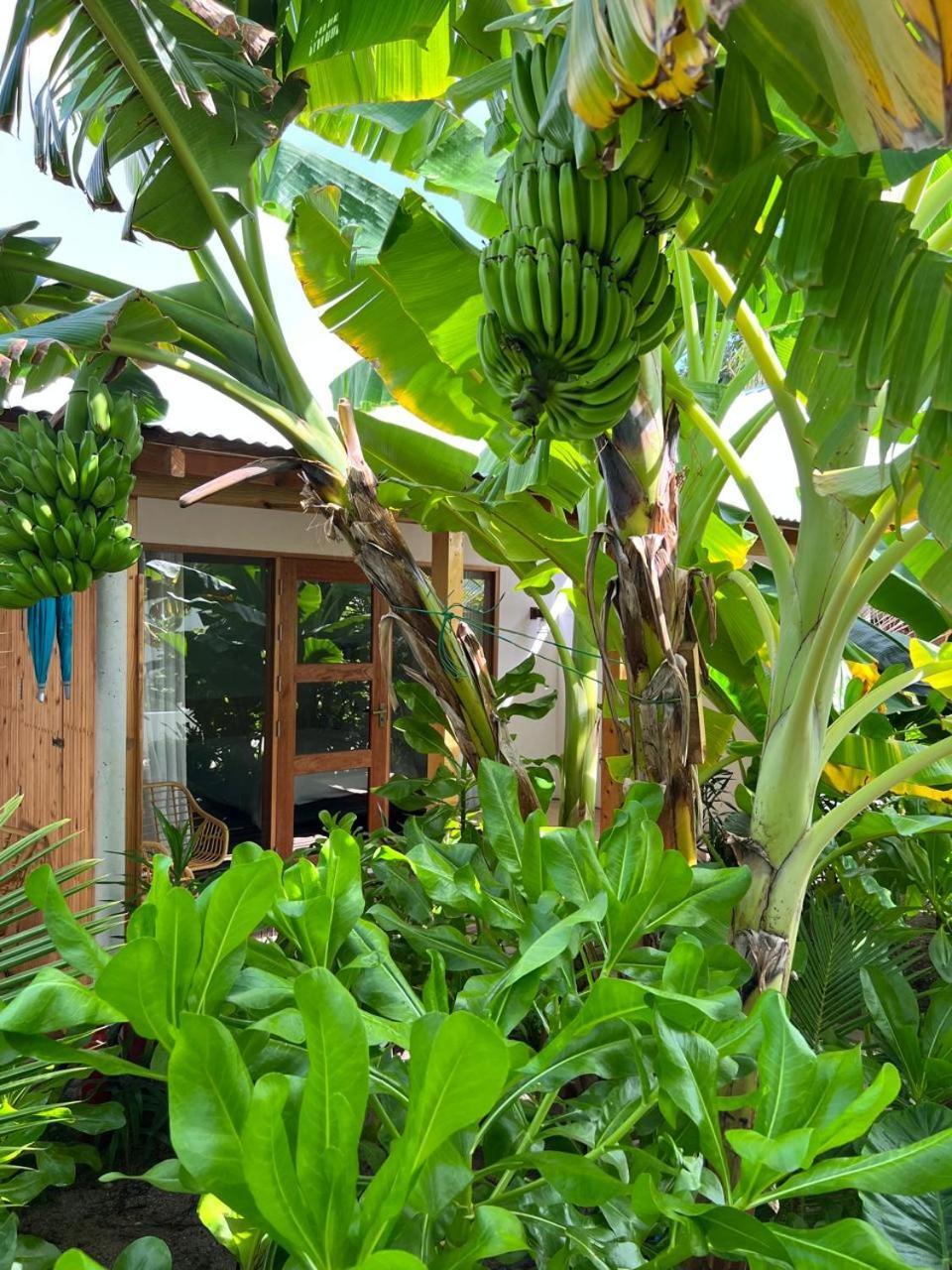 Hotel Seaside Dhigurah Dhigurah  Esterno foto